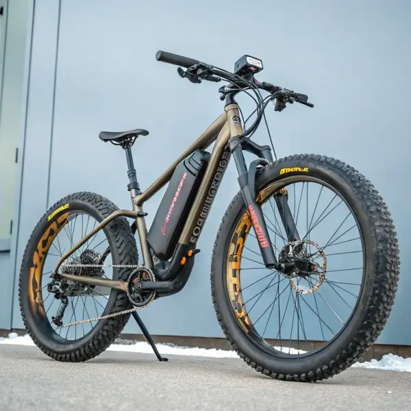 TrailBlazer Off-Road E-Bike
